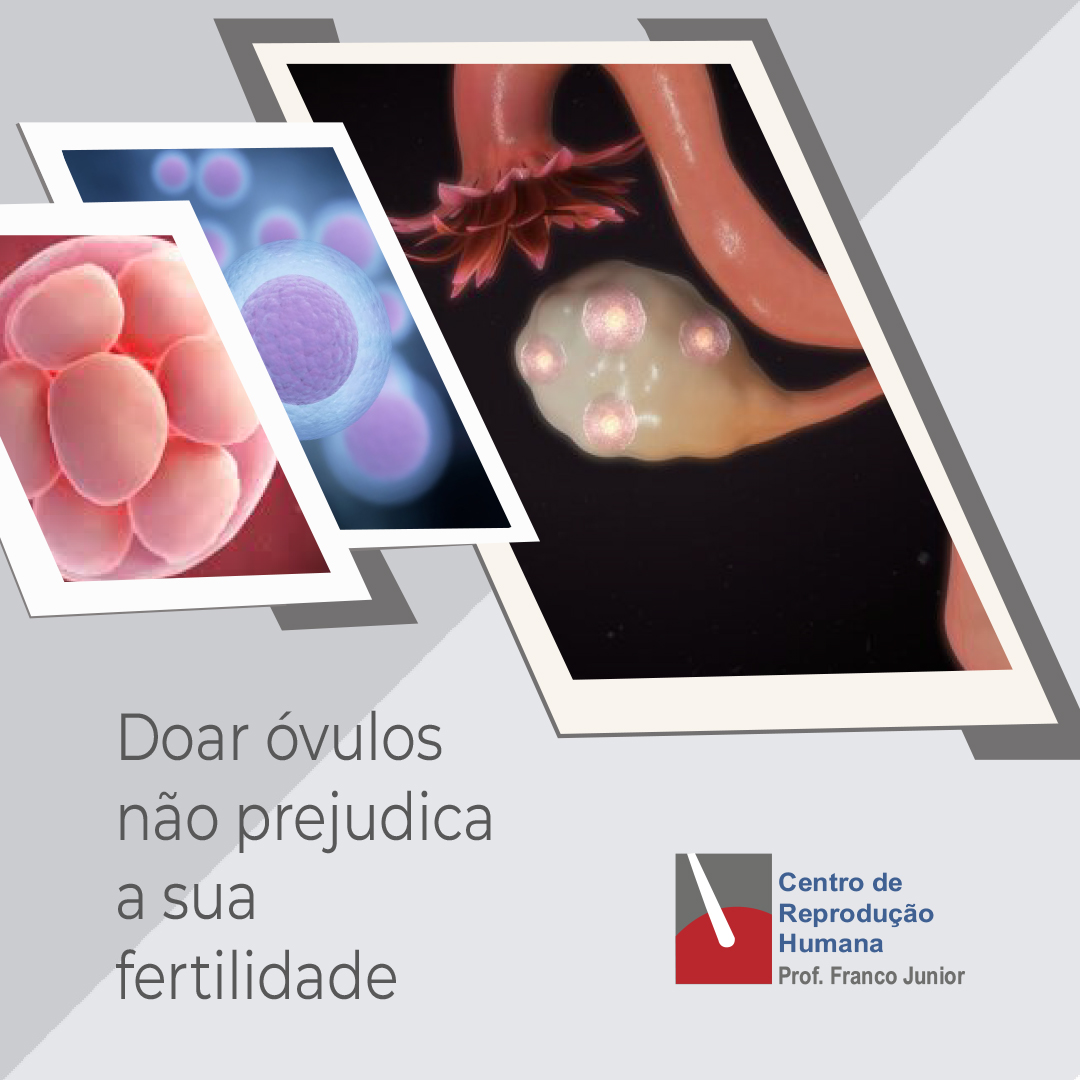 saiba-que-doar-ovulos-nao-prejudica-a-sua-fertilidade